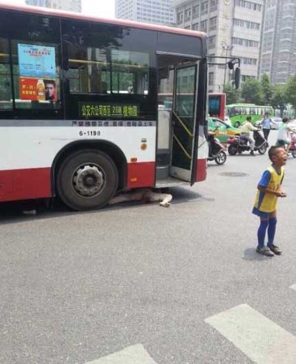 Grandmother trapped under bus in Xi'an