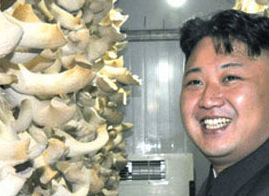 Kim Jong-un loves mushrooms 4