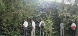 Summer Palace urinating tourists