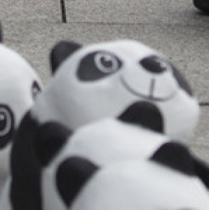 Pandas in Berlin 2c