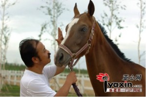 Chen Zhifeng and His Million-Dollar Horses 1