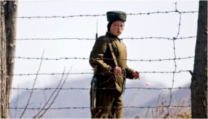 North Korean guard