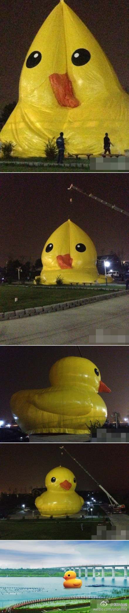 Rubber duck in Beijing 2