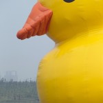 Rubber duck looks sad in Beijing 2