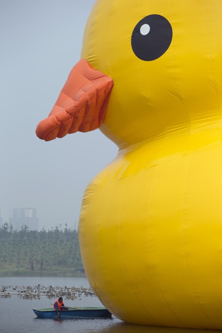 Rubber duck looks sad in Beijing 2