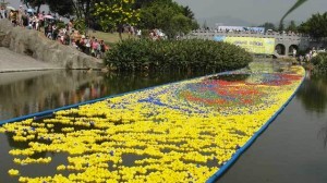 50,000 rubber ducks in Shenzhen