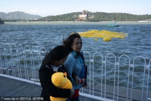 Beijing Rubber duck smithereens 1