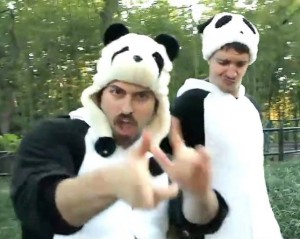 The Panda - parody of Ylvis The Fox