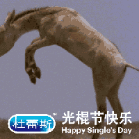 Durex Singles Day animals 2