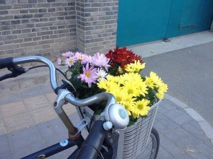 Ai Weiwei's flowers