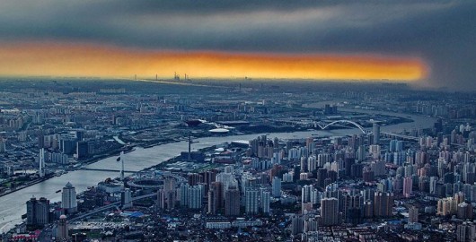 Wei Gensheng Shanghai crane pic 5