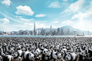 1600 pandas in Hong Kong