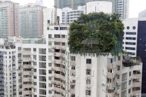 Guangzhou highrise forest