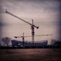 Picture Of The Day: The Cranes Are Nesting
