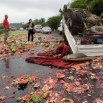 Watermelon truck overturns 1
